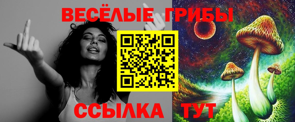 Псилоцибиновые грибы ЛСД  Вход с VPN  Галлюциногенные грибы Cubensis  Касимов 